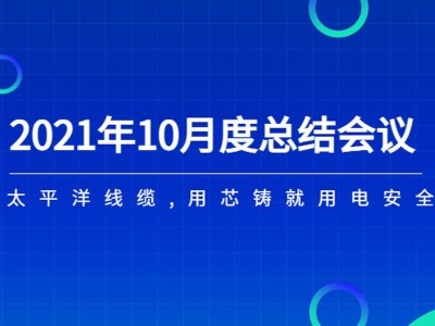 河南太平洋線纜月度總結(jié)會(huì)議